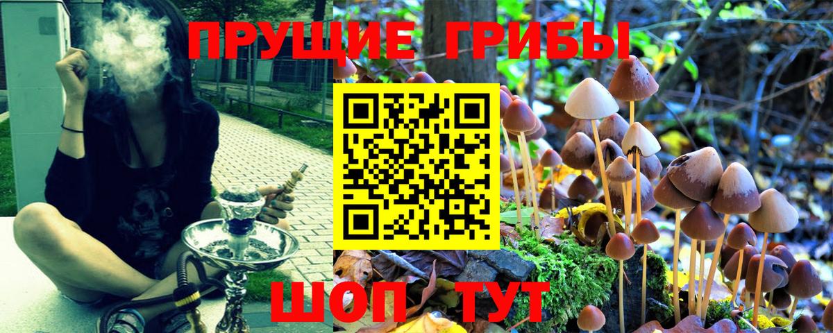 Мефедрон   Cocaine  Бошки Шишки  Корсаков  МДМА  ГАШ  А ПВП СК кристаллы  Вход с VPN 