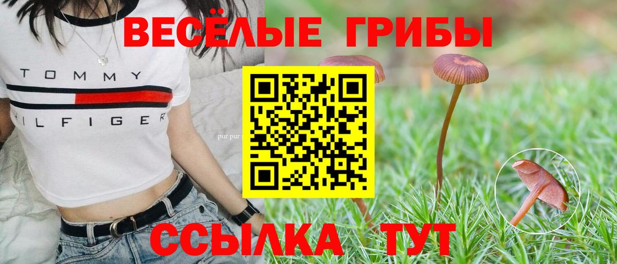 Псилоцибиновые грибы GOLDEN TEACHER  Вход с VPN  закладка  Корсаков 